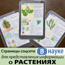 Шаблоны страниц соцсетей для подготовки сообщений. РАСТЕНИЯ: 85 видов, 7 групп