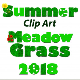 Summer Alphabet Clip Art: Letters, Numbers and Symbols. Meadow Grass