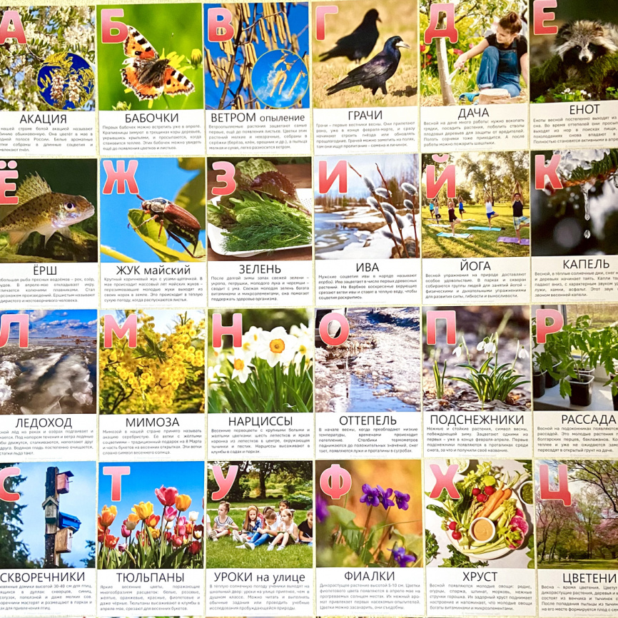 Весенний алфавит: карточки с фото и текстом фото 2