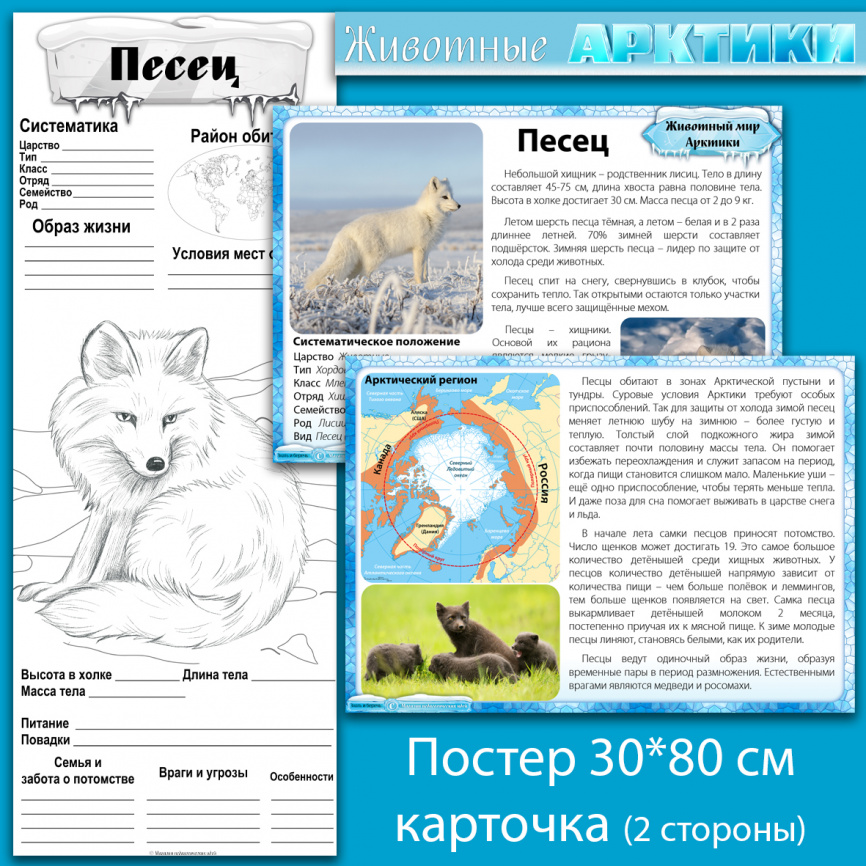 Комплект материалов "Животные Арктики" фото 13