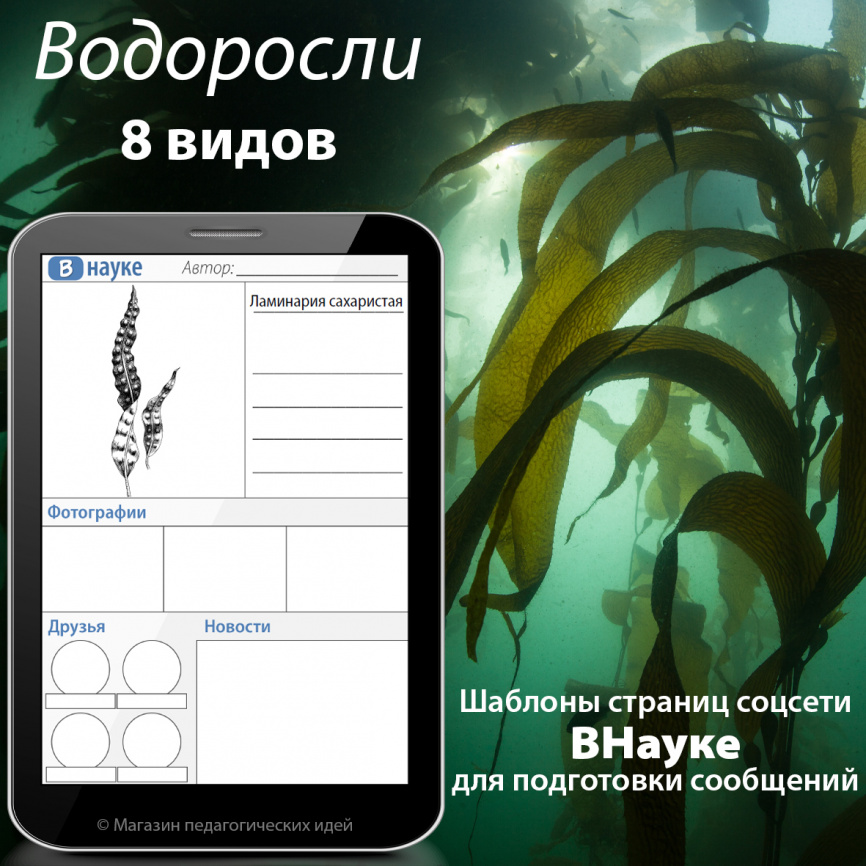 Шаблоны страниц соцсетей для подготовки сообщений: Водоросли фото 1