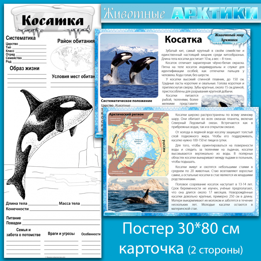 Комплект материалов "Животные Арктики" фото 7