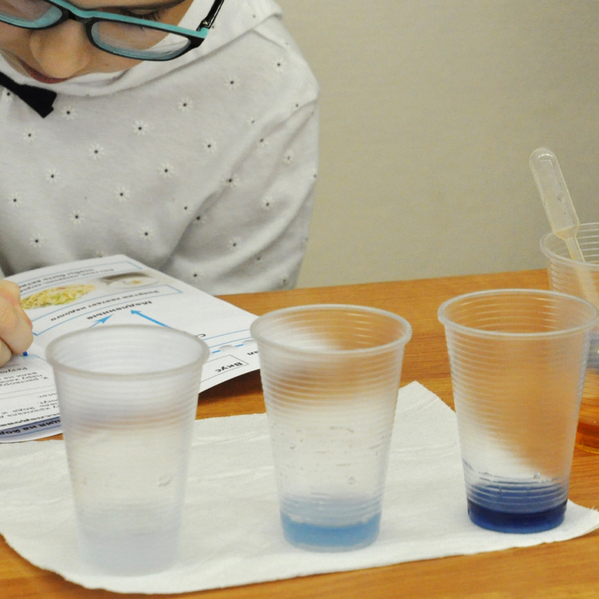 Моделирование переваривания крахмала фото 6