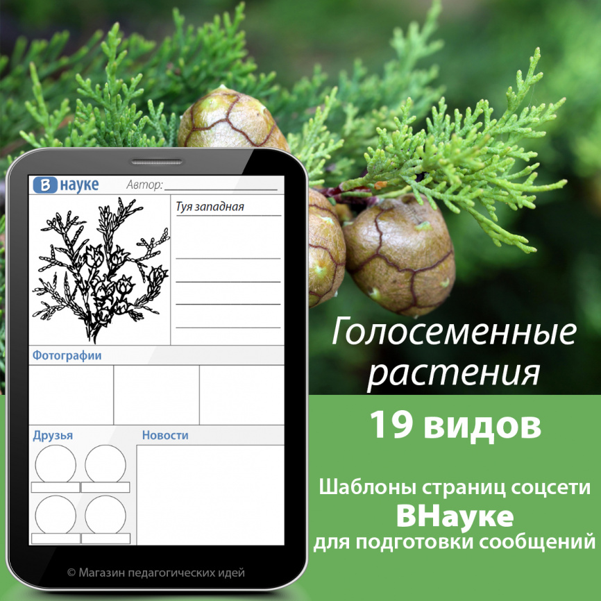 Шаблоны страниц соцсетей для подготовки сообщений: Голосеменные растения фото 1