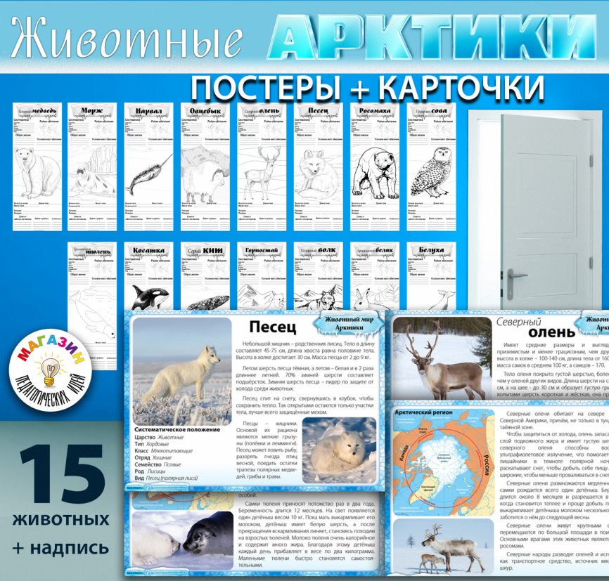 Комплект материалов "Животные Арктики" фото 1