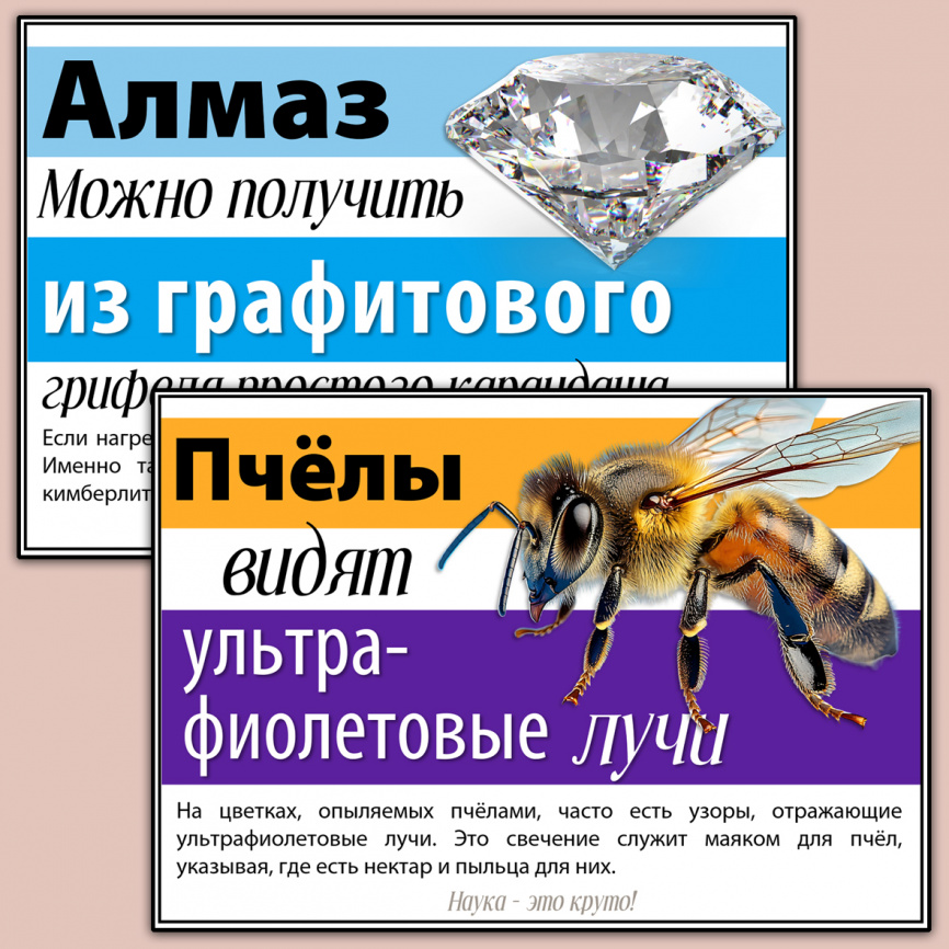 Постеры с научными фактами "Наука - это круто" фото 2