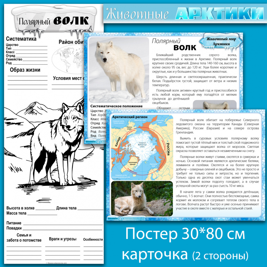 Комплект материалов "Животные Арктики" фото 4