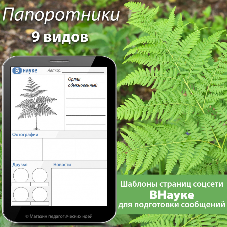 Шаблоны страниц соцсетей для подготовки сообщений: Папоротники фото 1