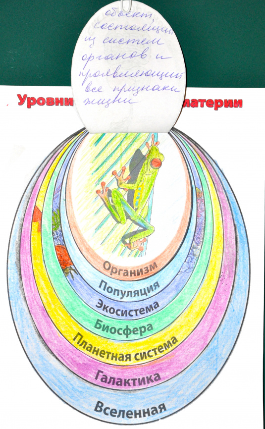 Уровни организации материи: интерактивные заметки фото 1