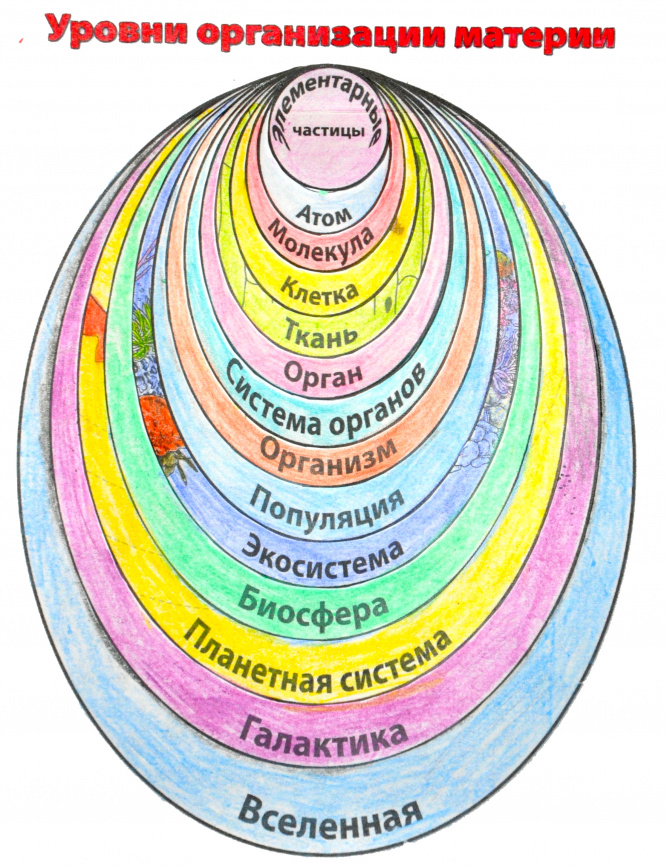 Уровни организации материи: интерактивные заметки фото 2
