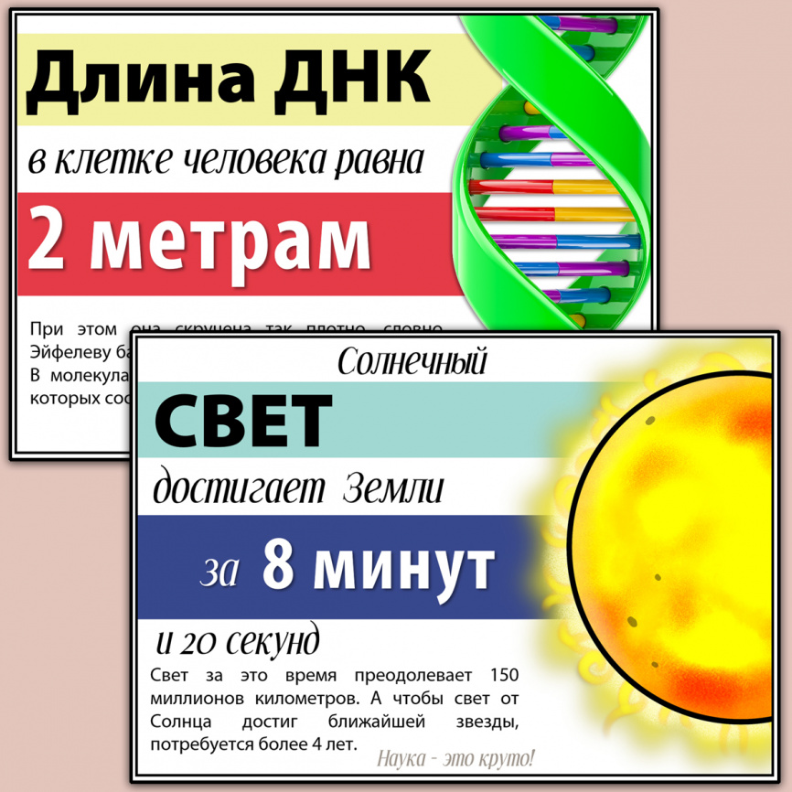 Постеры с научными фактами "Наука - это круто" фото 3
