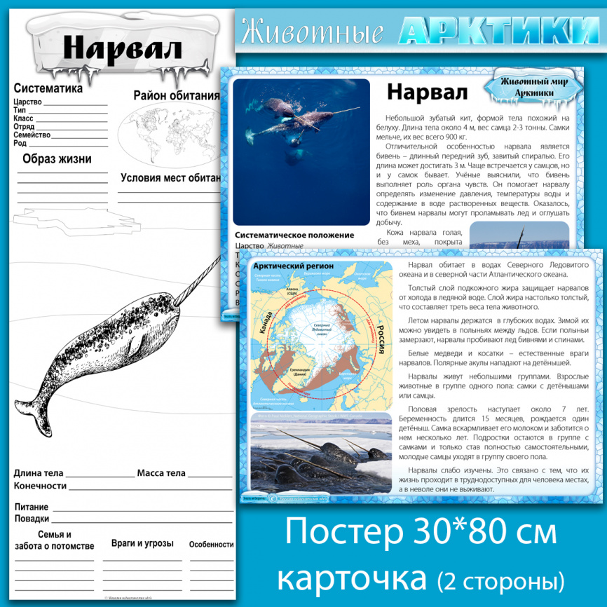 Комплект материалов "Животные Арктики" фото 10