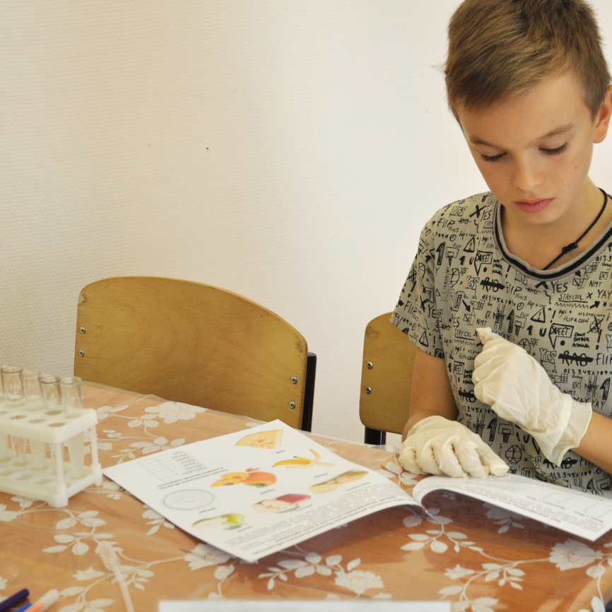 Мини-исследование "Содержание крахмала в биологических объектах" фото 3